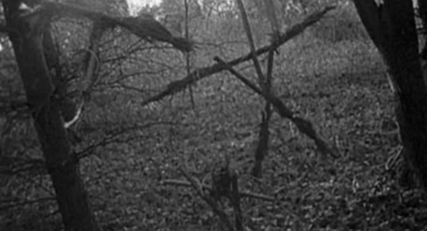 /film_images/blair witch 2.png